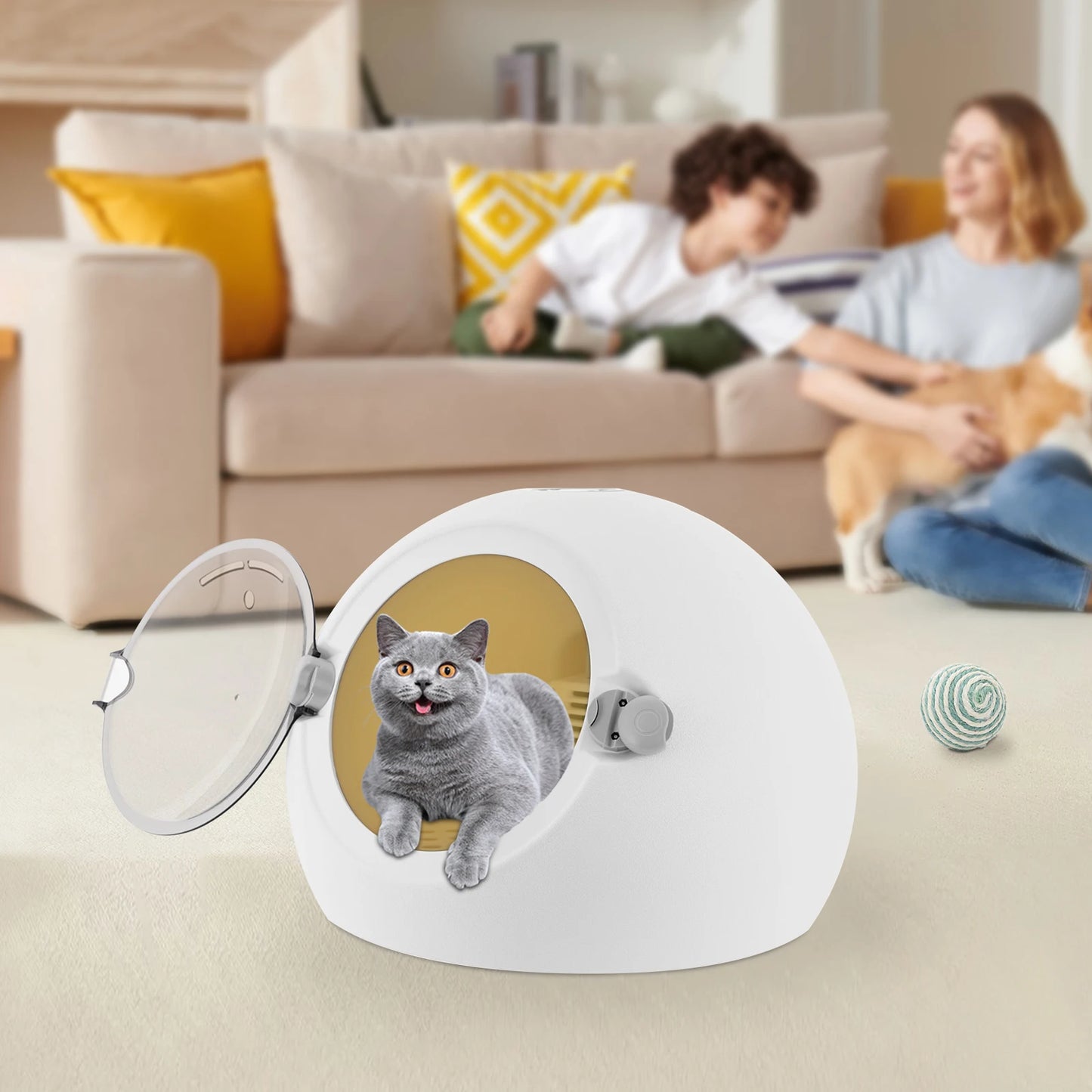 Pet Dryer Box