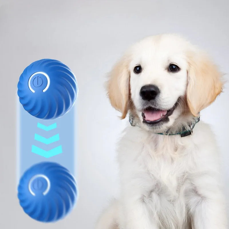 Toy Ball Automatic Moving Dog /Smart USB