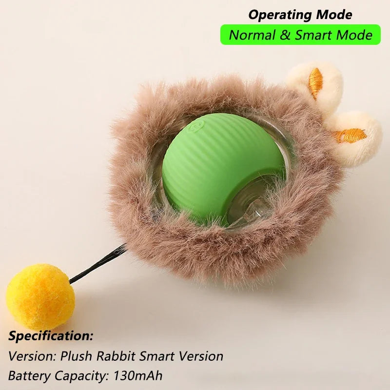 Indoor Interactive Birds Toy