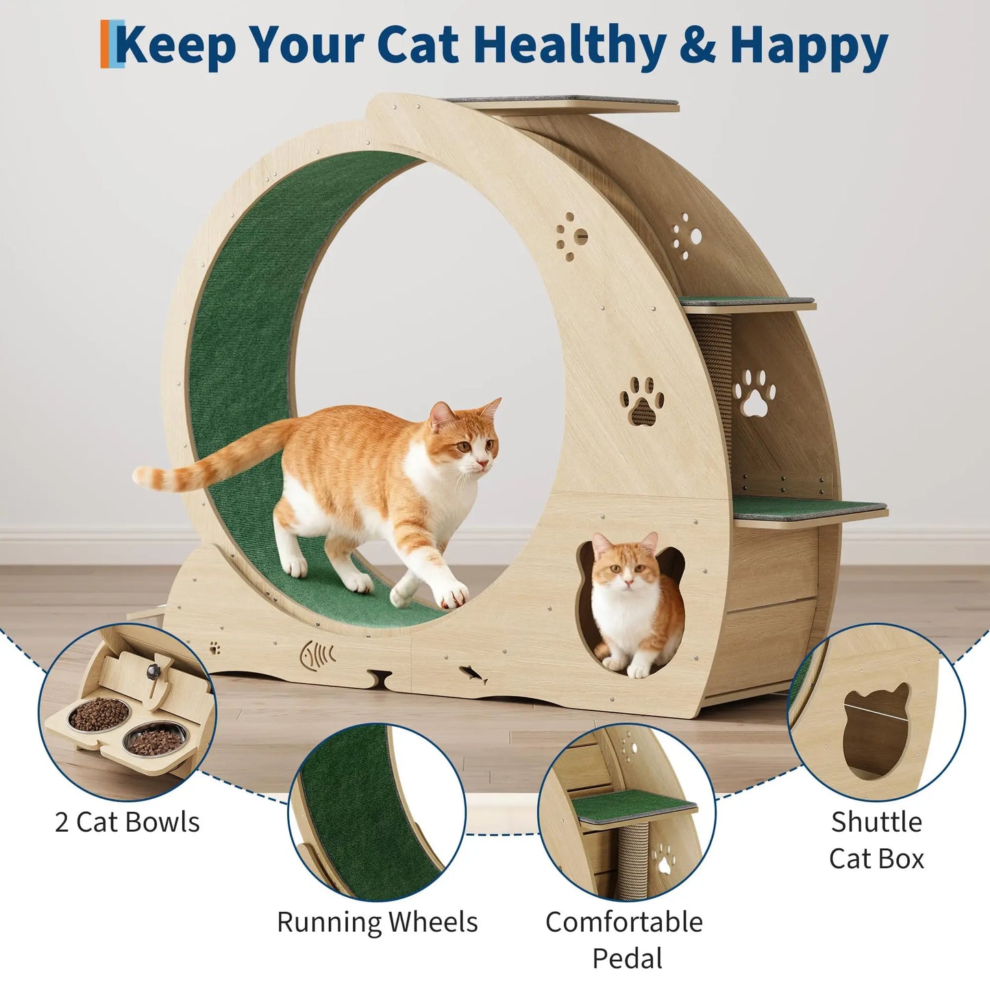 Cat Exercise Wheel