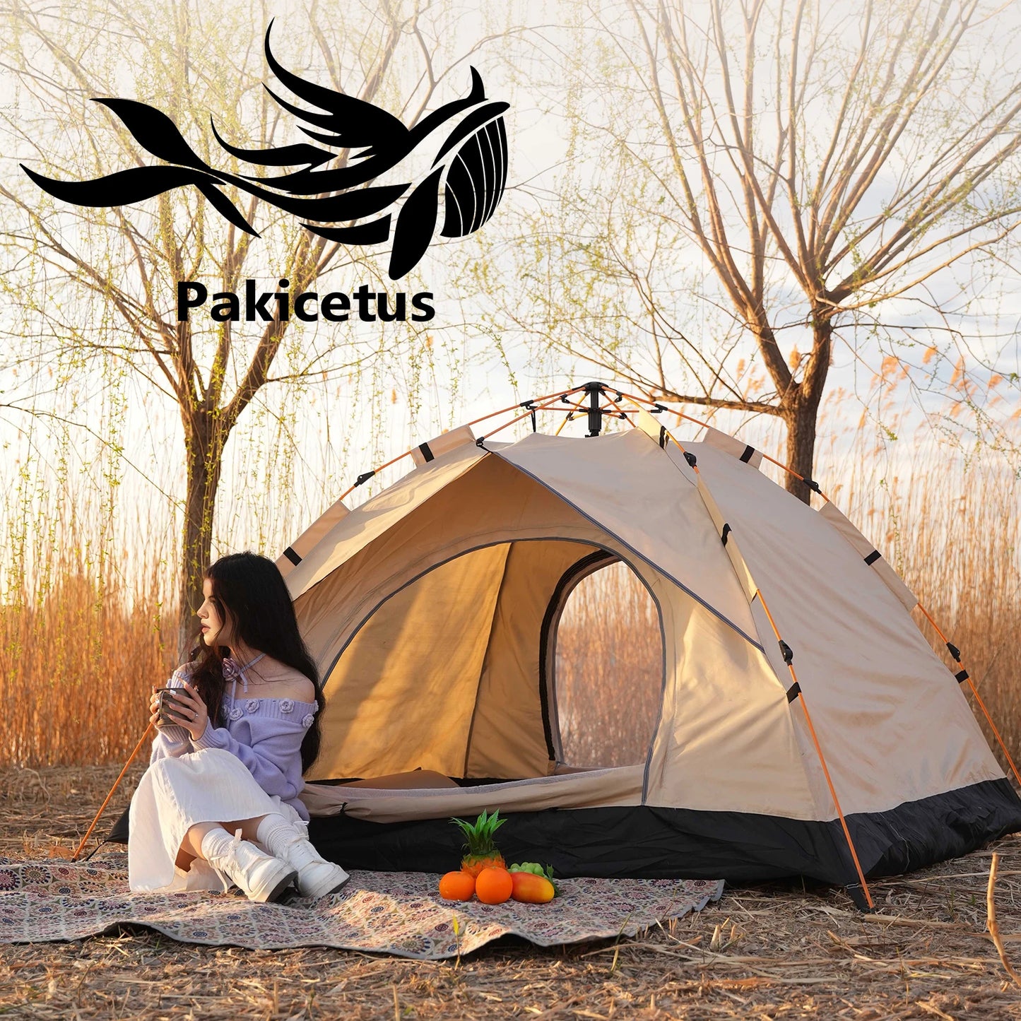 Pop Up Camping Tent