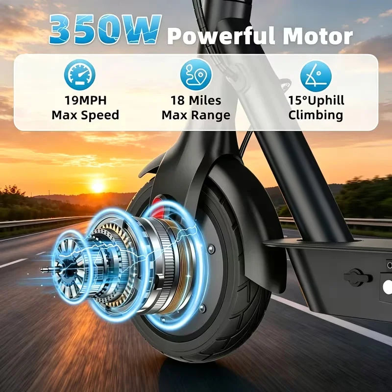 350W Electric Scooter for Adults
