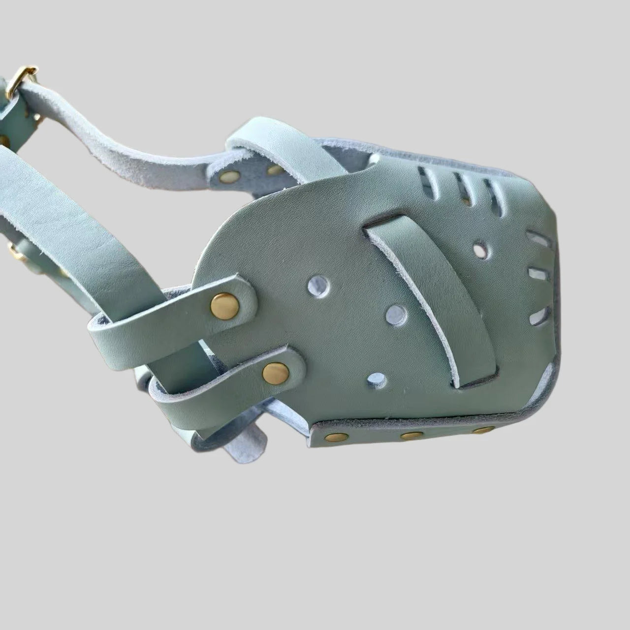 Dog Muzzle