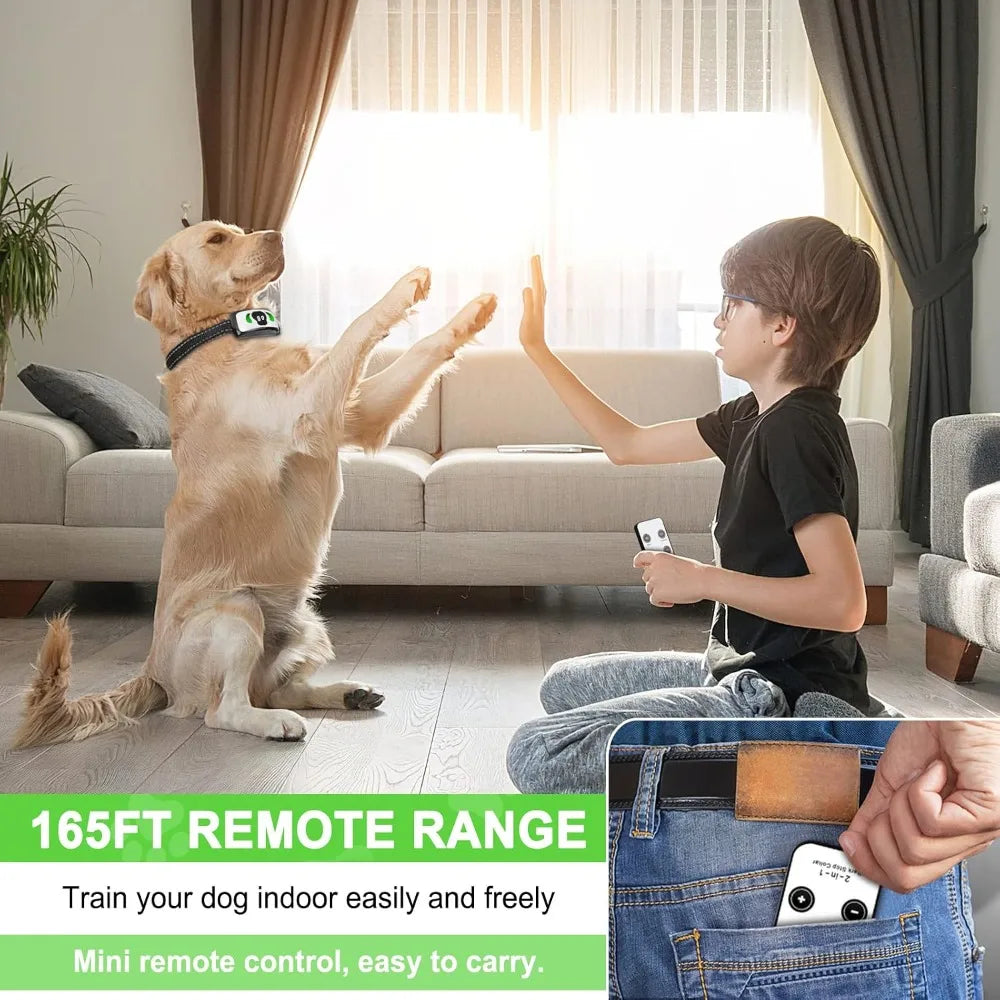 Dog Training Collar with Mini Remote