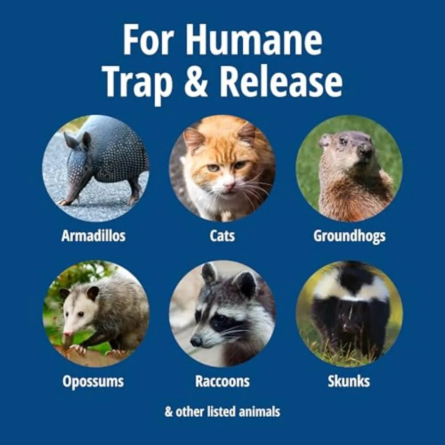 Large 1-Door Live Animal Trap