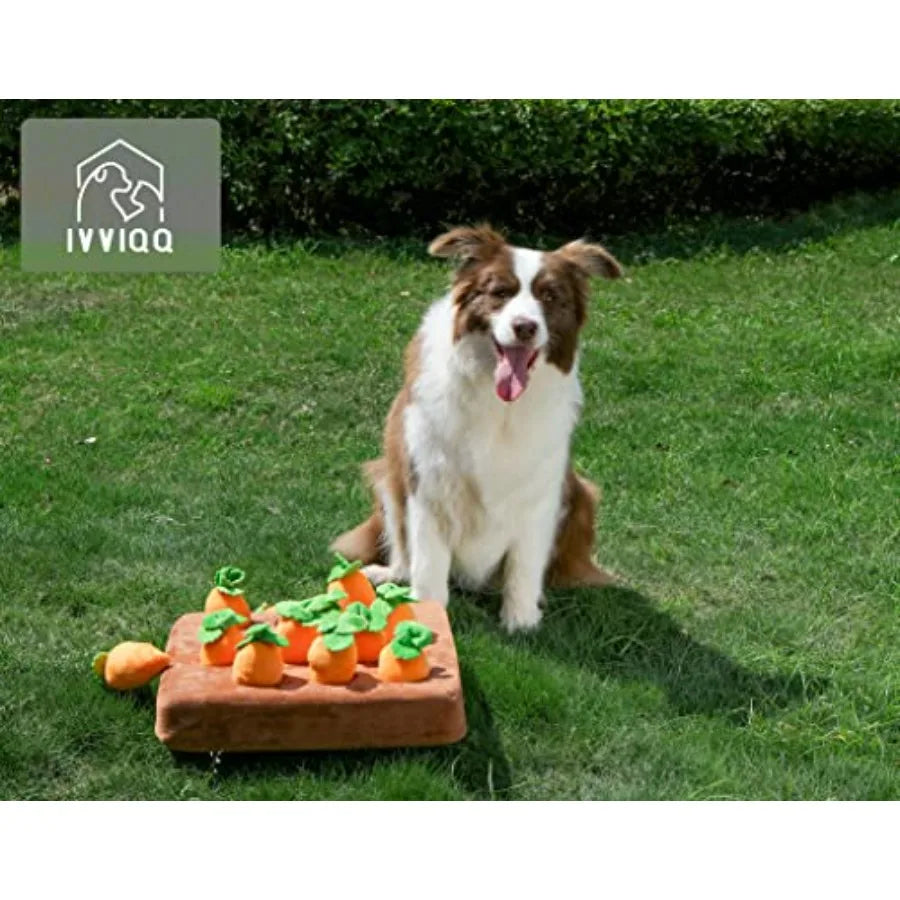 Squeak Carrot Snuffle Mat for Dogs