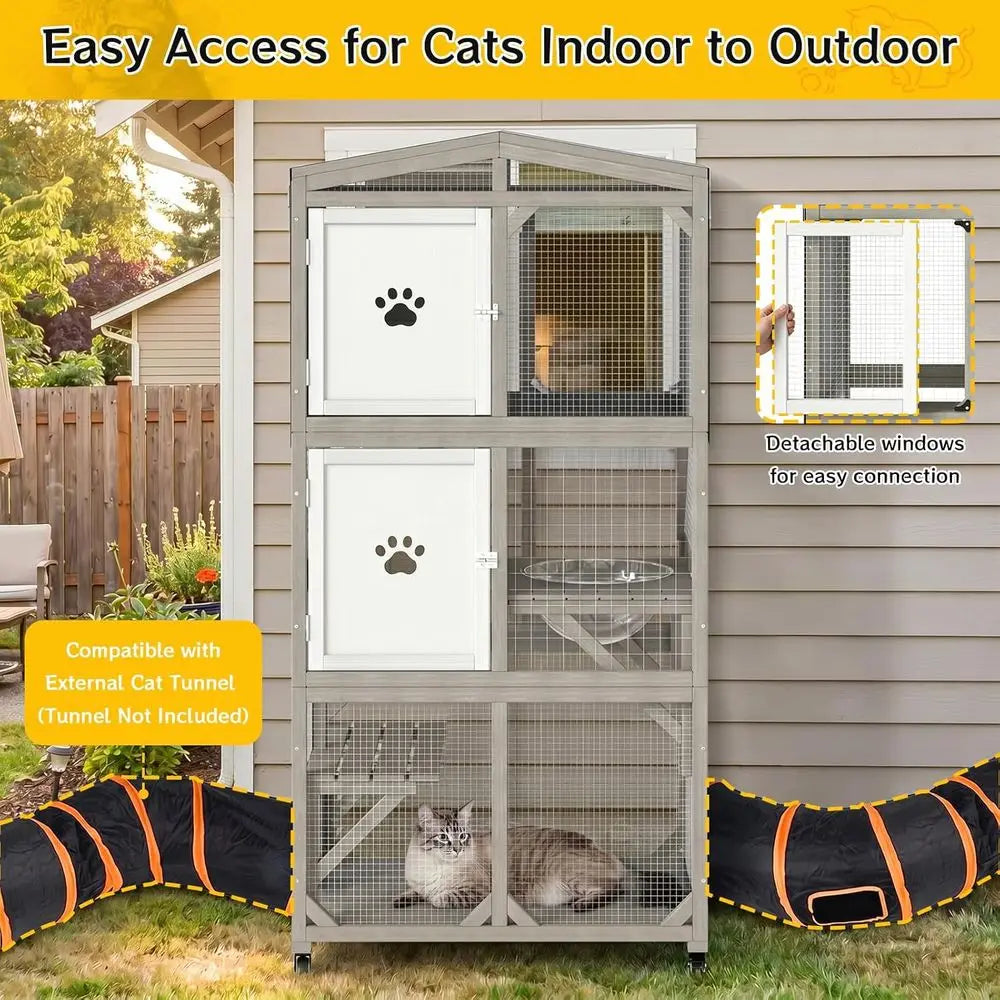 Outdoor Cat Enclosure