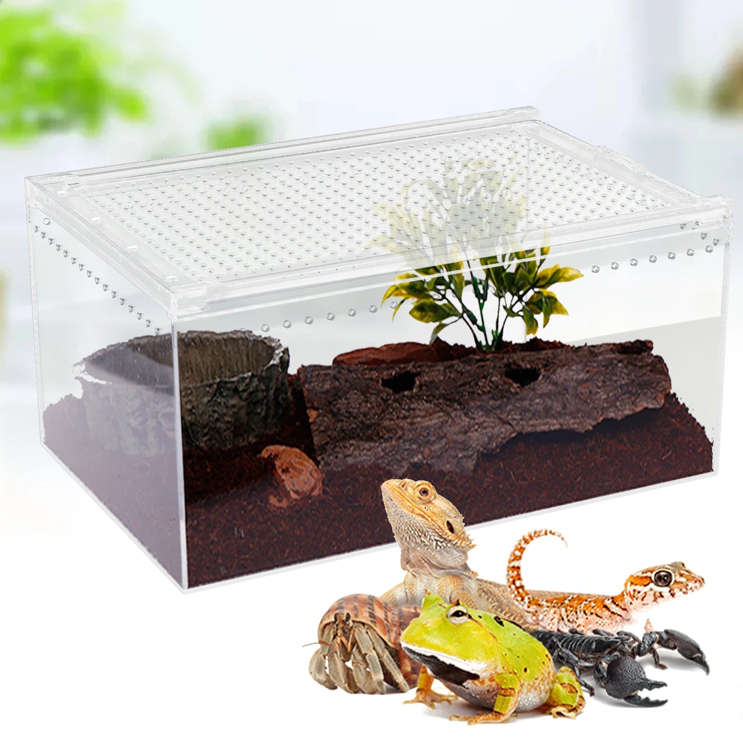 Reptile Pet Breeding Cage 30*20*15cm