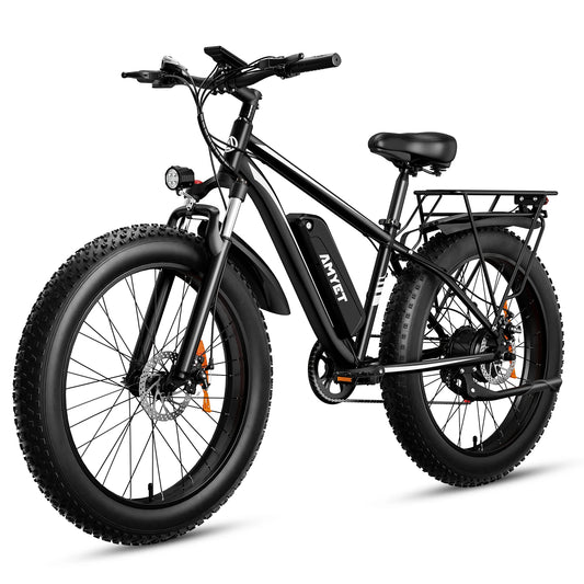 Adult Electric Bicycle