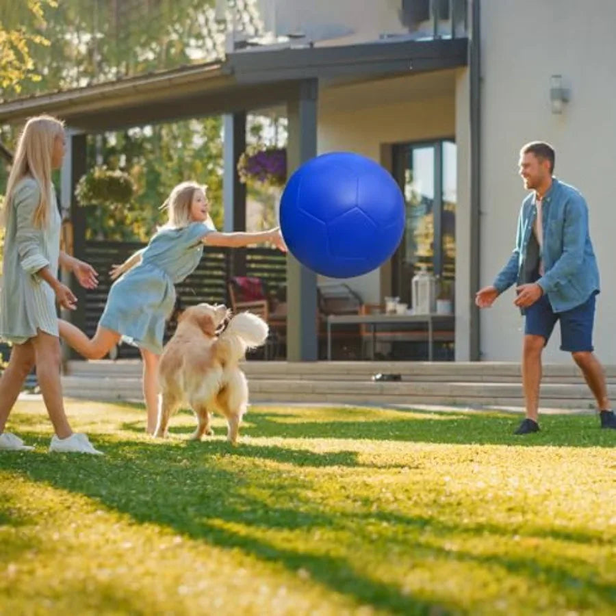 Herding Ball for Dogs