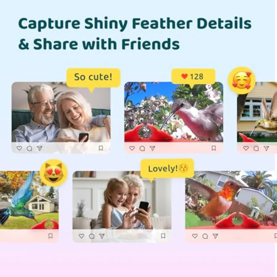 Smart Hummingbird Feeder with Camera, Auto Detect , Instant Notification, Live View