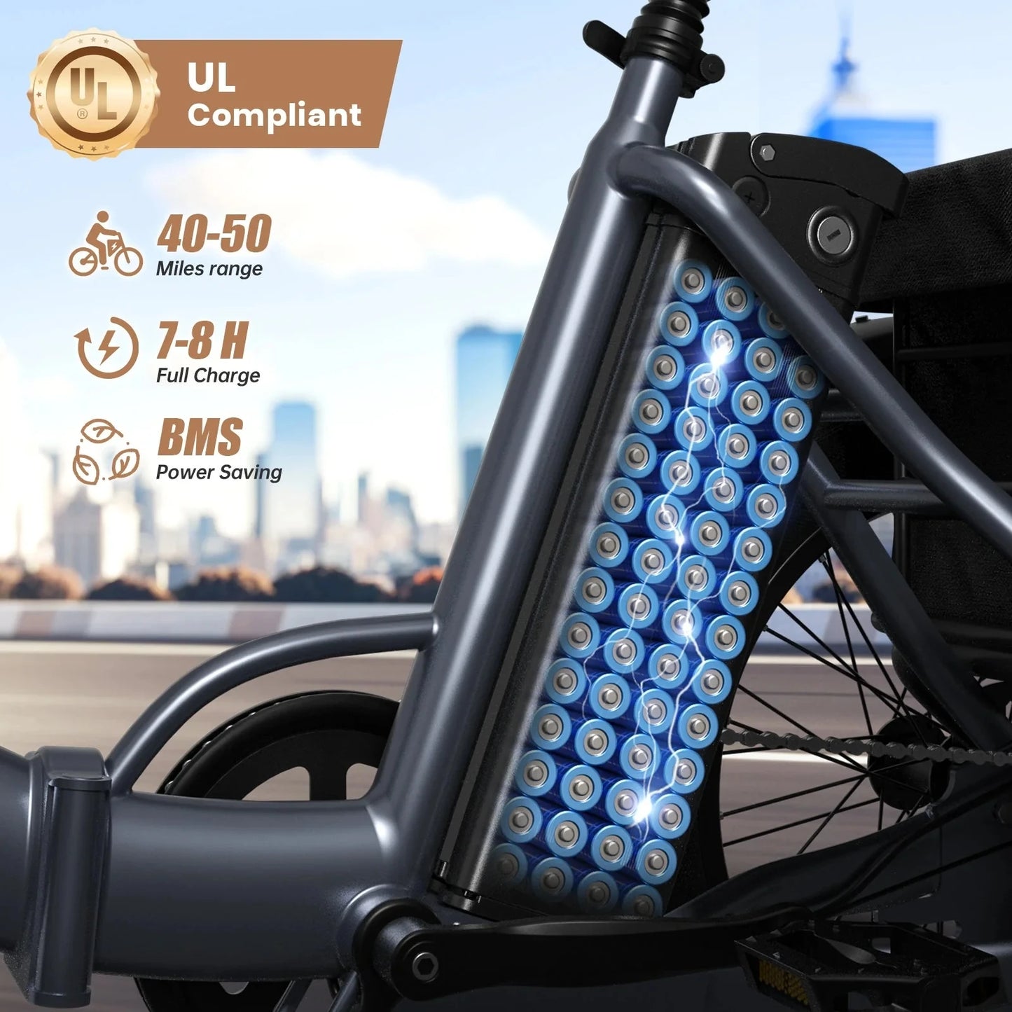 Electric Tricycle for Adults