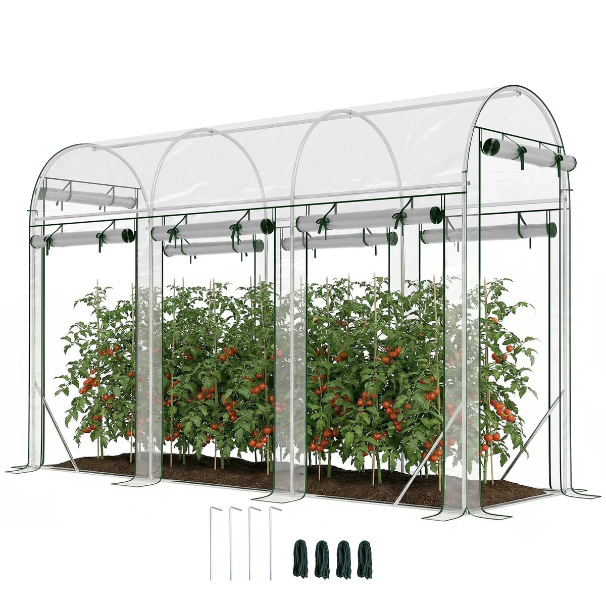 Walk-In Tunnel Greenhouse