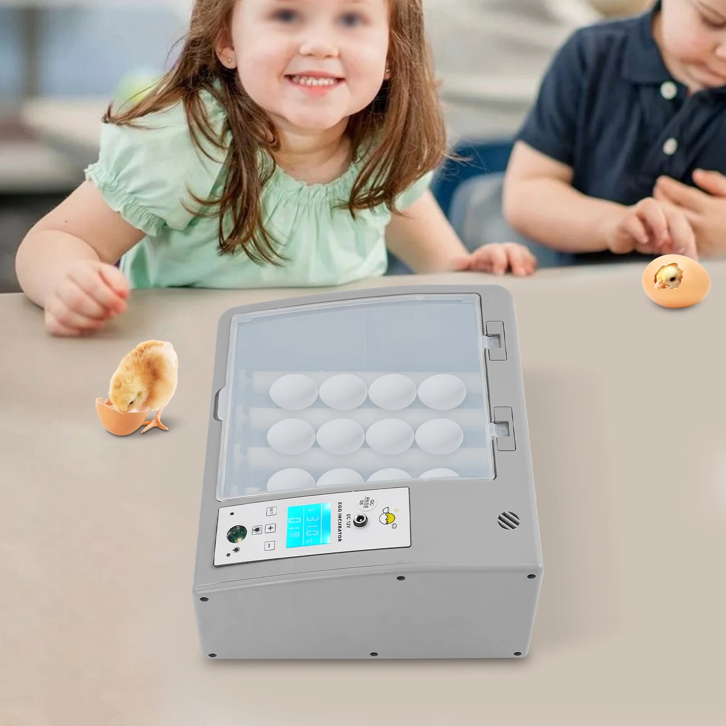 Fully Automatic Digital Household Egg Incubator