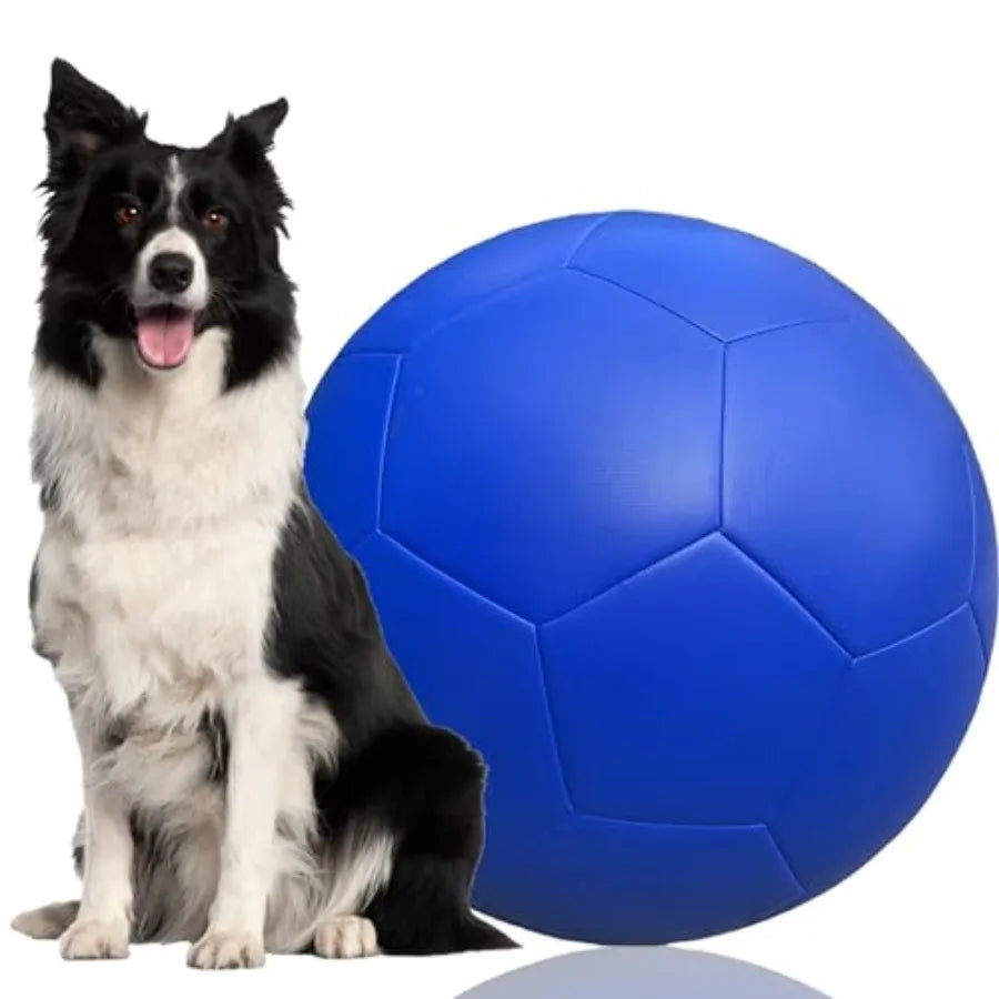 Herding Ball for Dogs