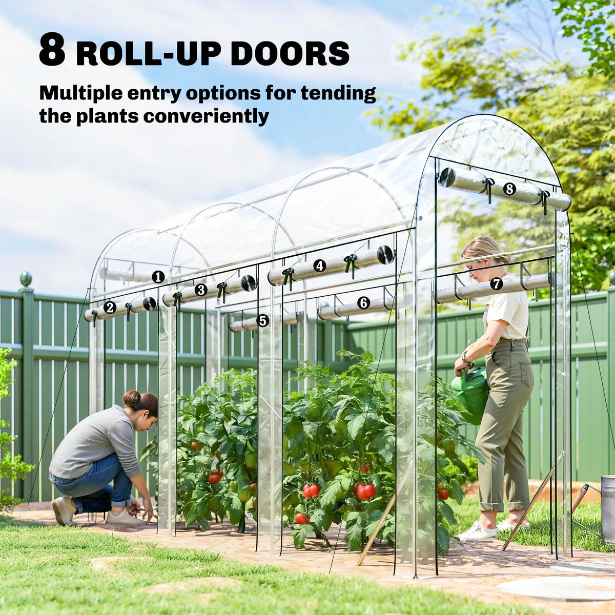 Walk-In Tunnel Greenhouse