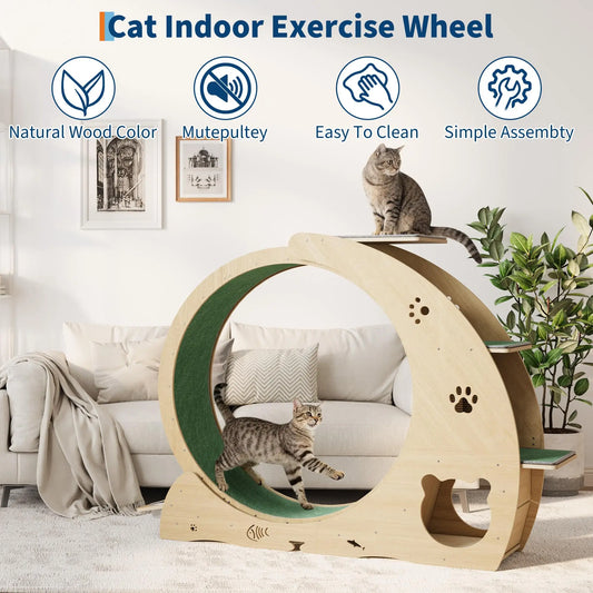 Cat Exercise Wheel