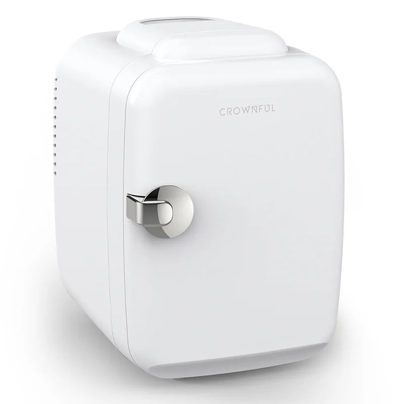 4L Mini Fridge for Makeup/Camping