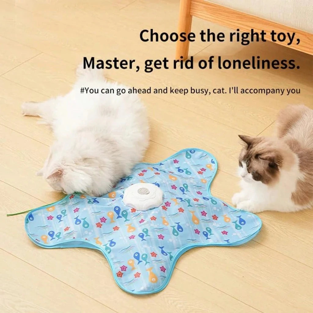 Durable Hide And Seek Cat Toy