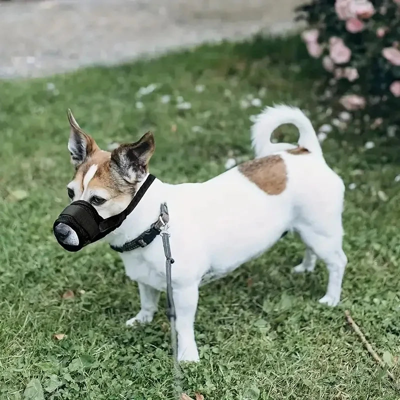 Soft Dog Muzzle