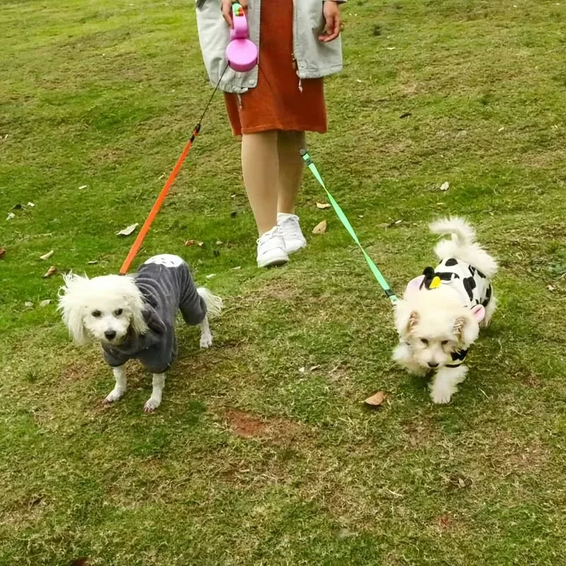 Self-Retracting Pet Leash with Dual Heads
