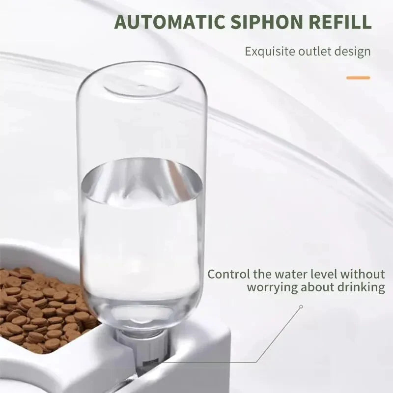 Feeding and Automatic Drinking