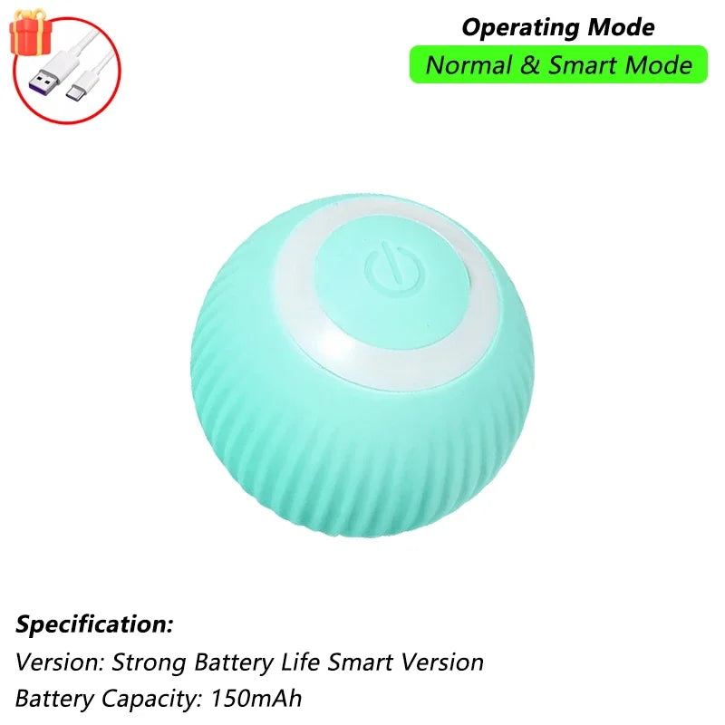 Indoor Interactive Birds Toy
