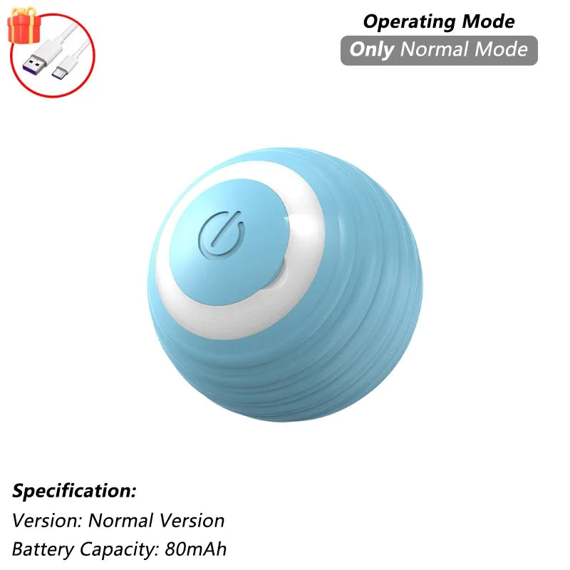 Indoor Interactive Birds Toy