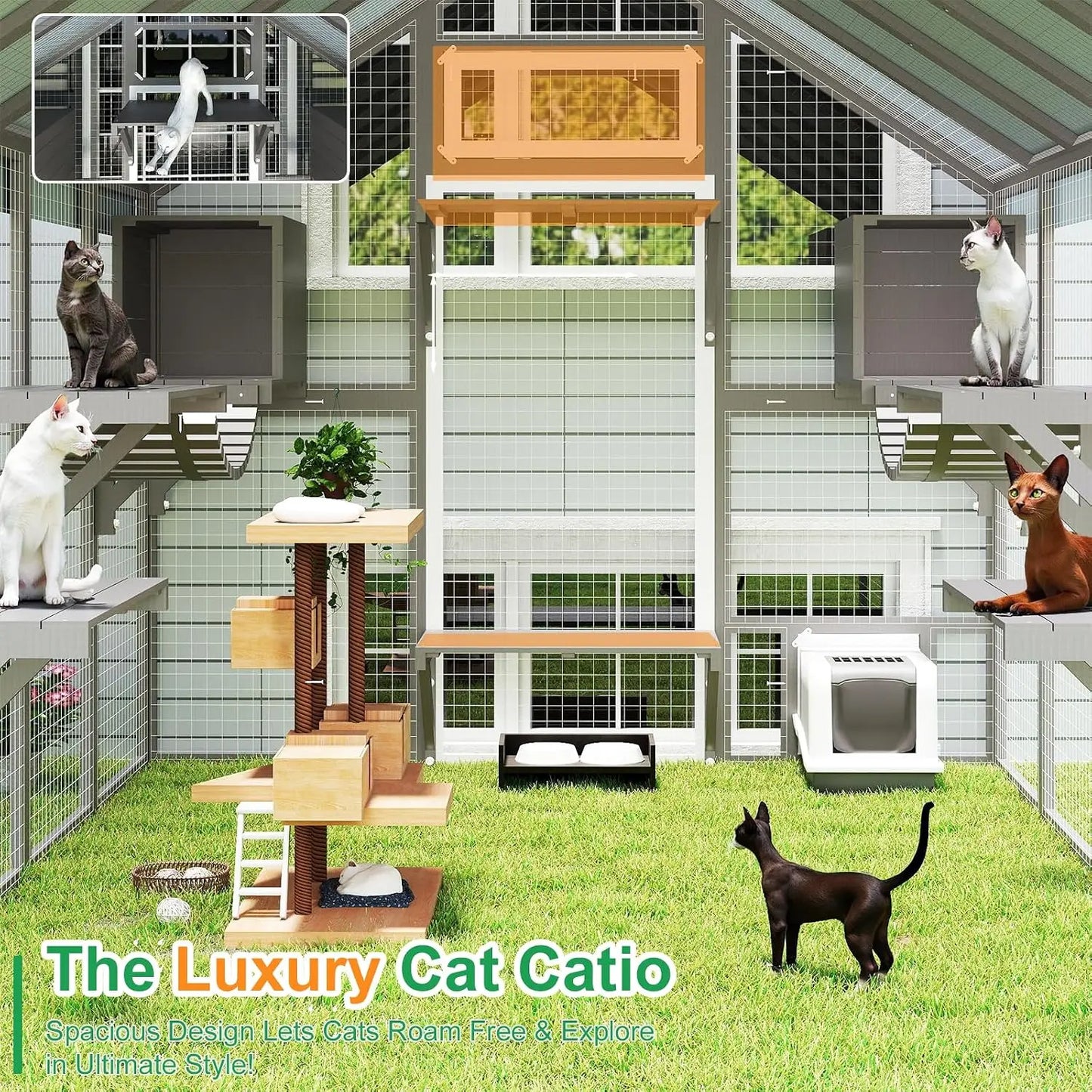 Extra Large Catio Outdoor