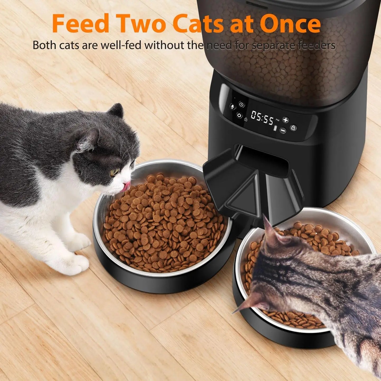 Automatic Pet Feeder for Two Cats