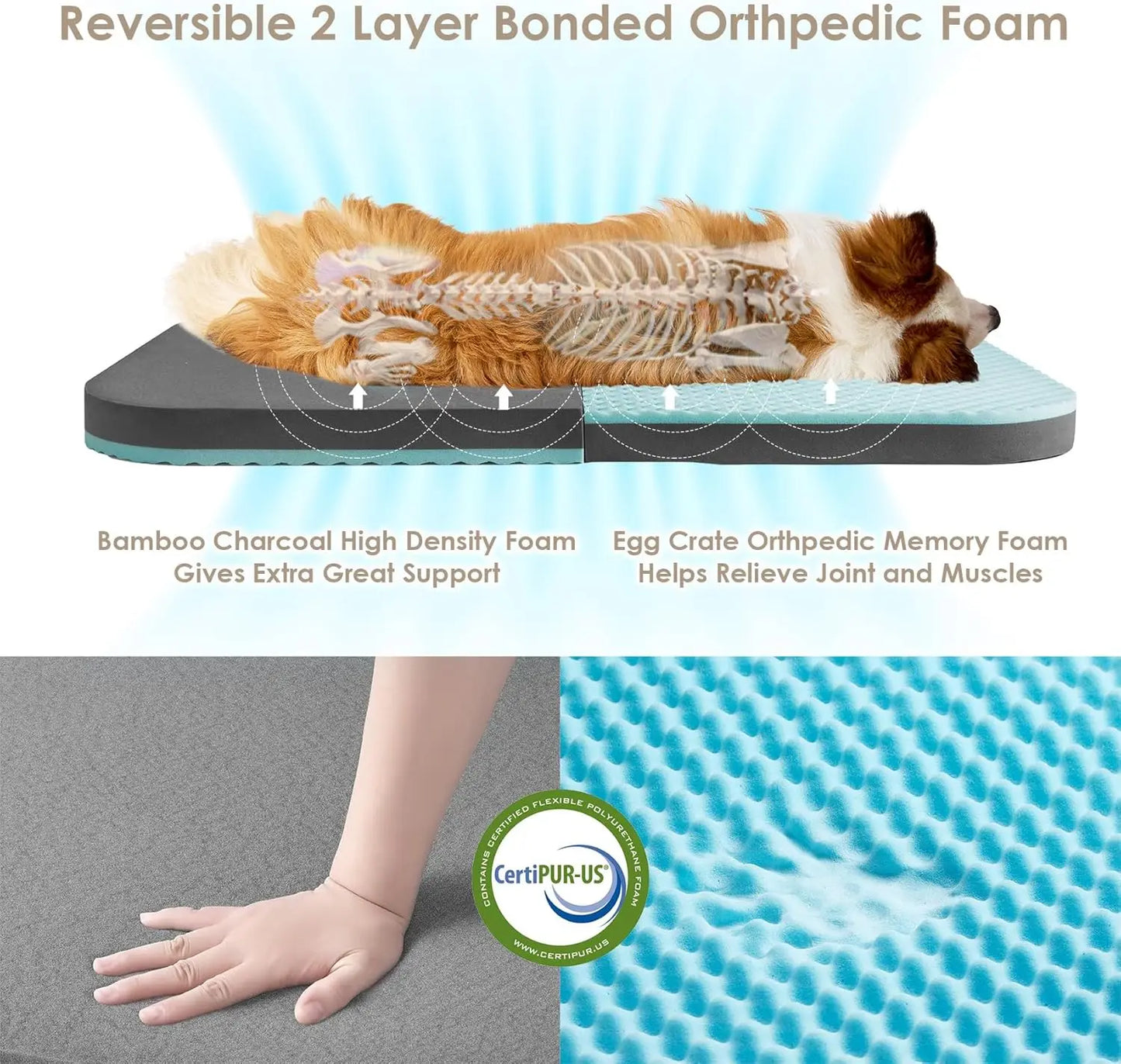 Foldable Human Dog Bed 72x44x11in