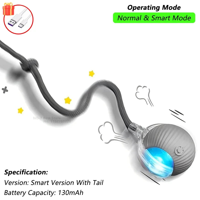 Indoor Interactive Birds Toy