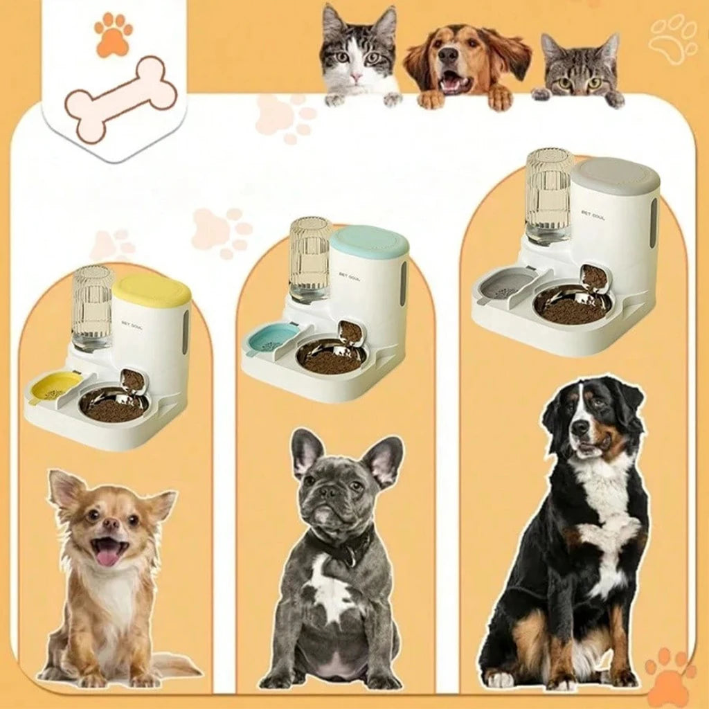 Pet Feeder and Water Dispenser