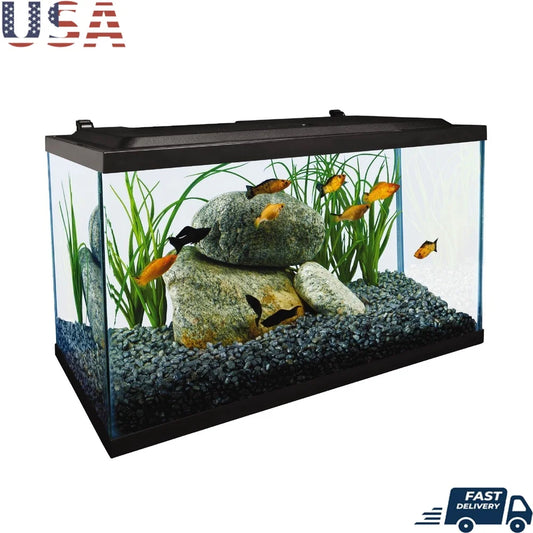 10 Gallon Glass Aquarium Kit