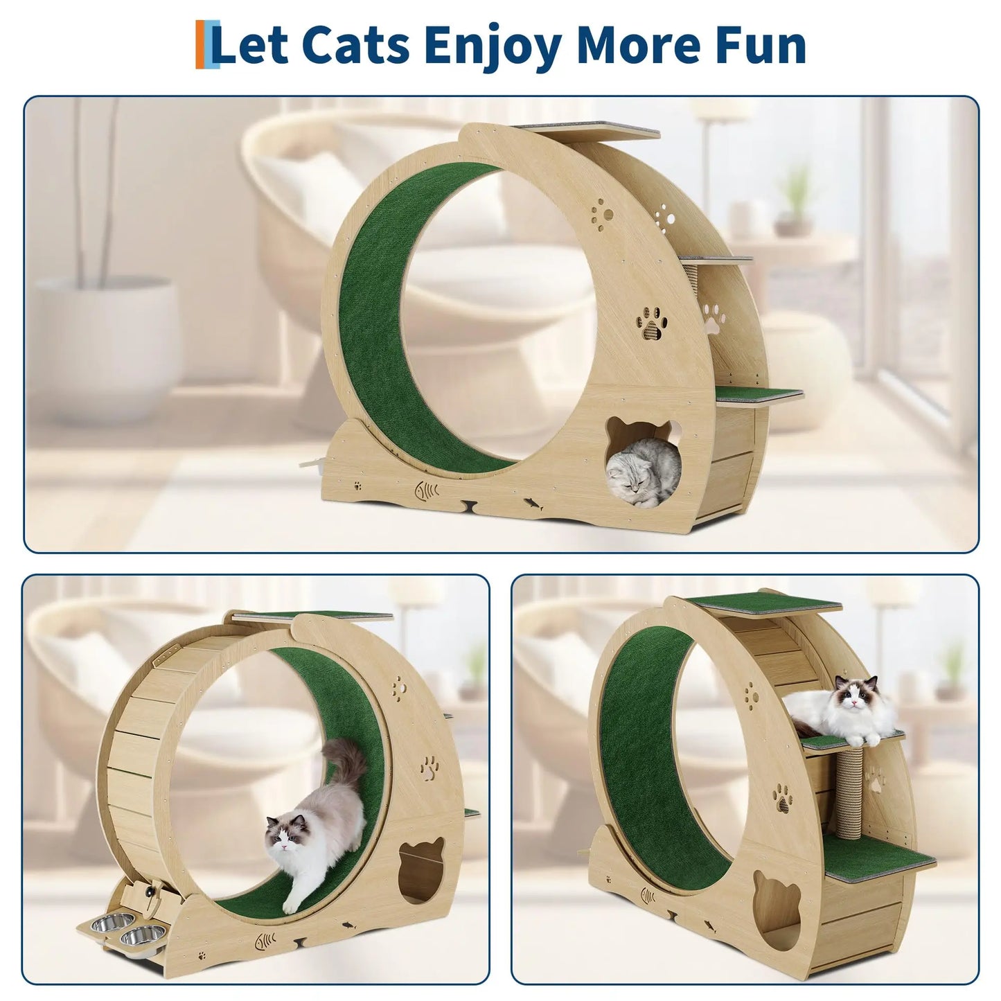 Cat Exercise Wheel