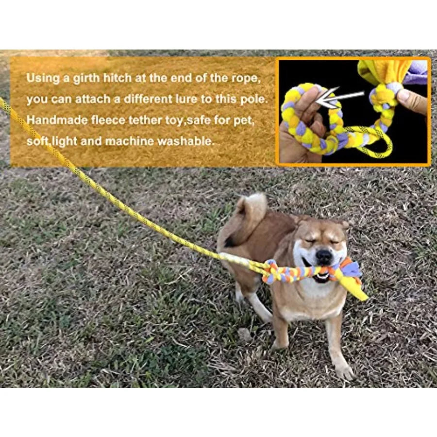 Flirt Pole Dog Toys