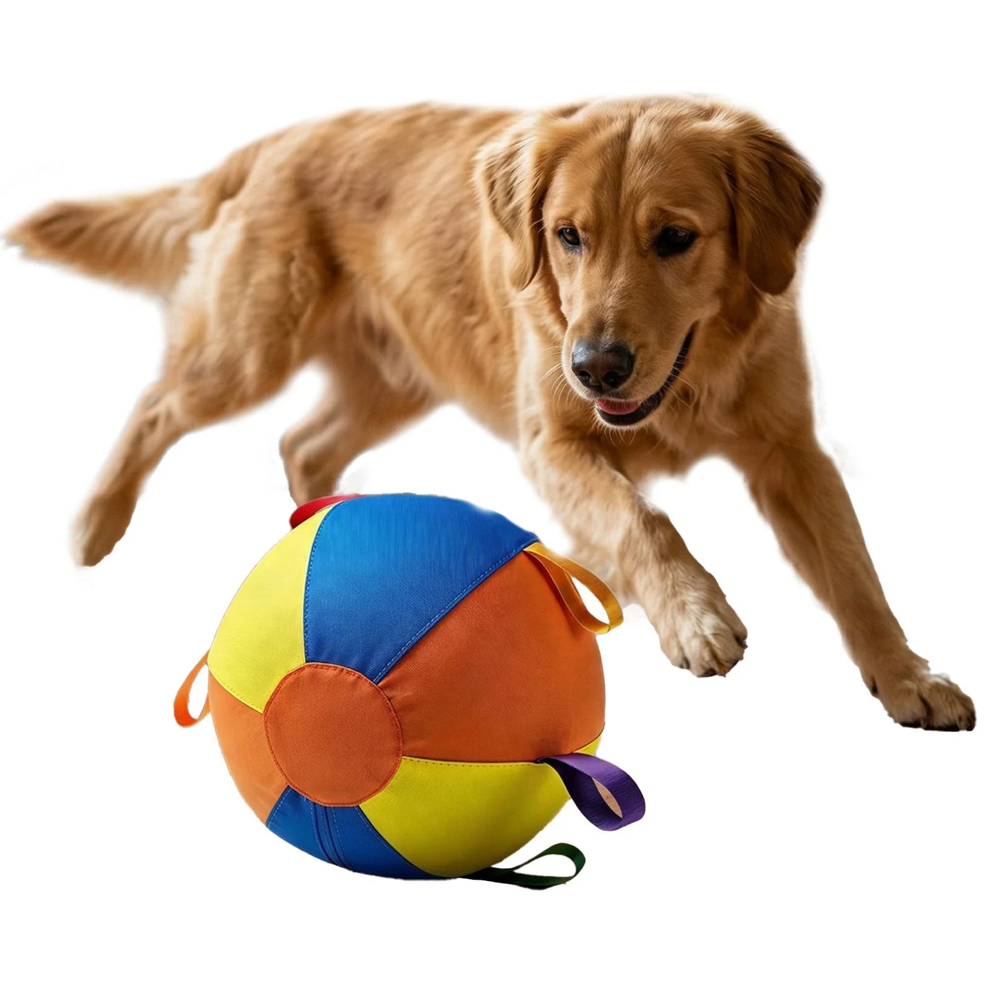 Giant Herding Ball with Straps