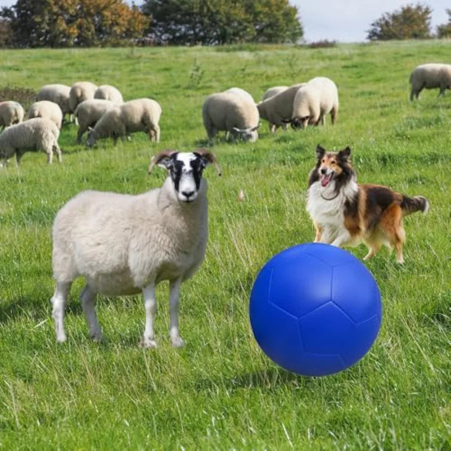 Herding Ball for Dogs