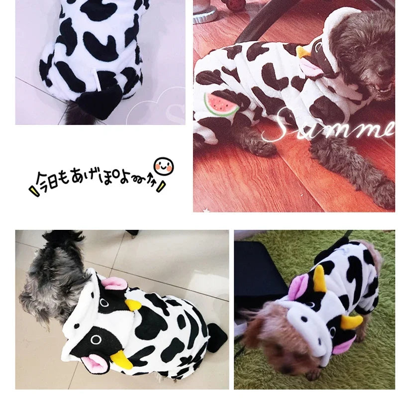 Pet Dog Clothes Costume Coats
