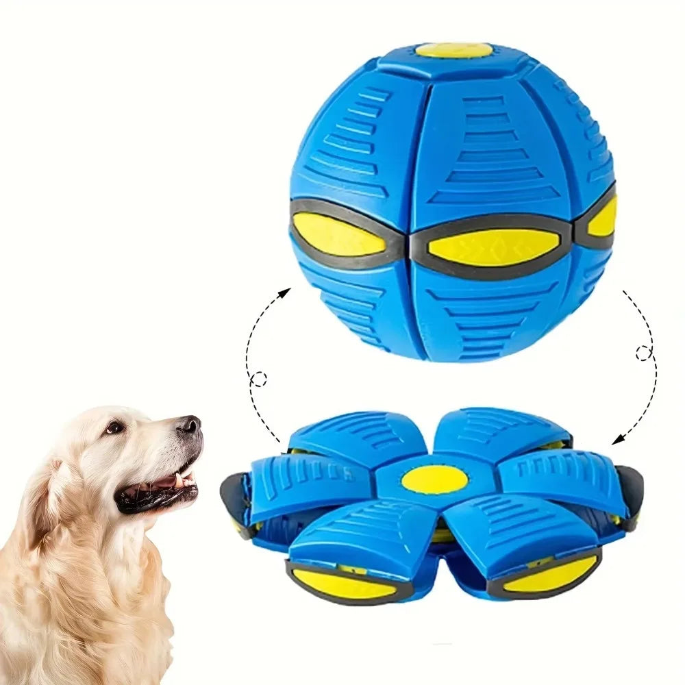 Bouncing Ball Dog Toy