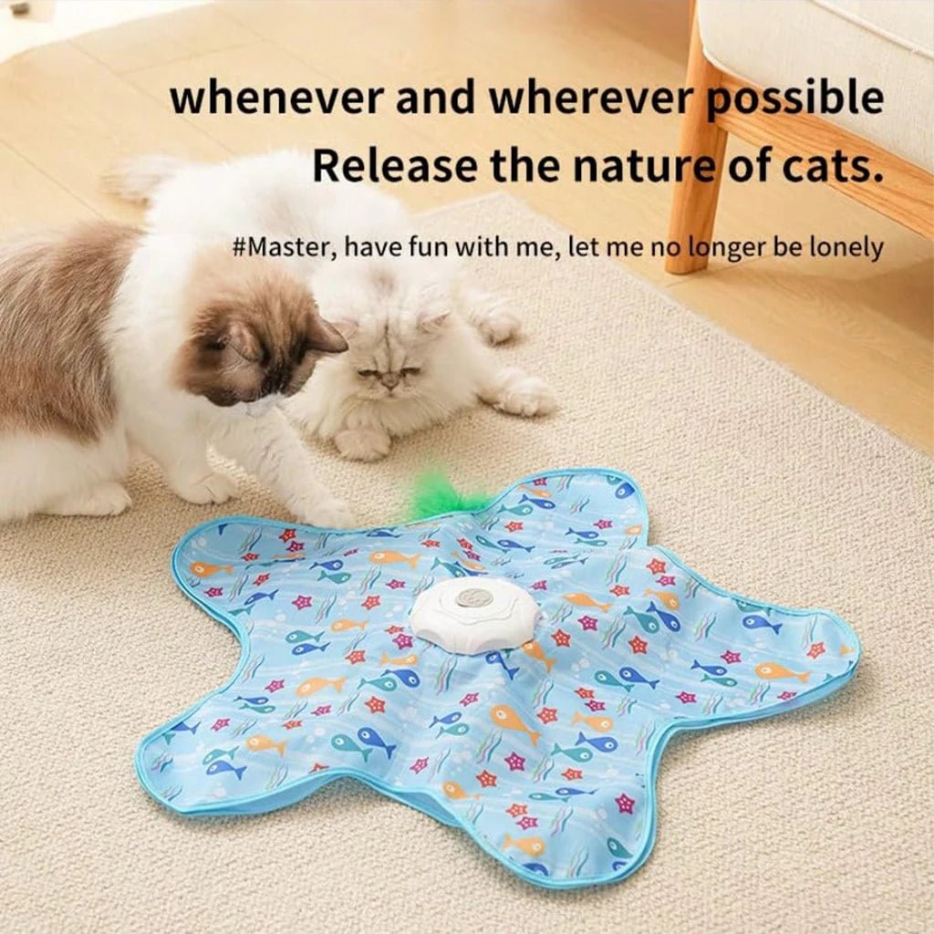 Durable Hide And Seek Cat Toy