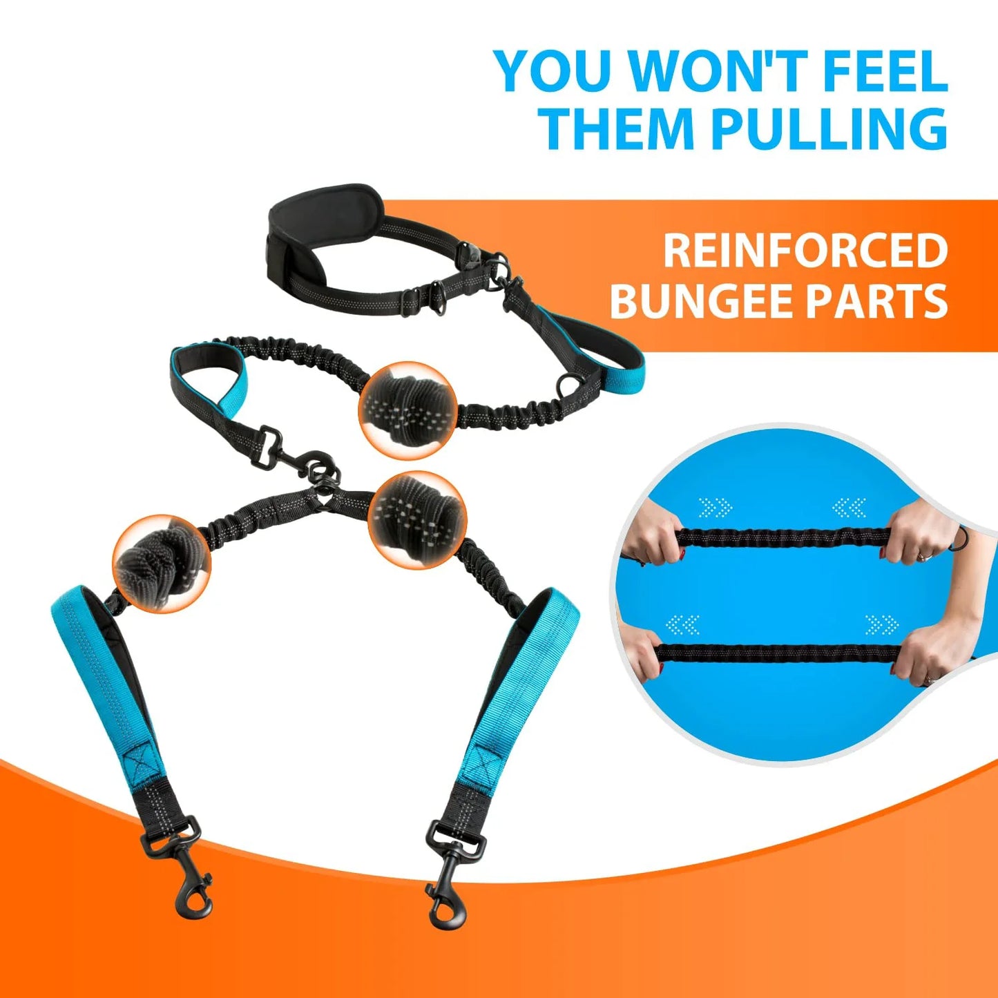 Hands Free Double Dog Leash