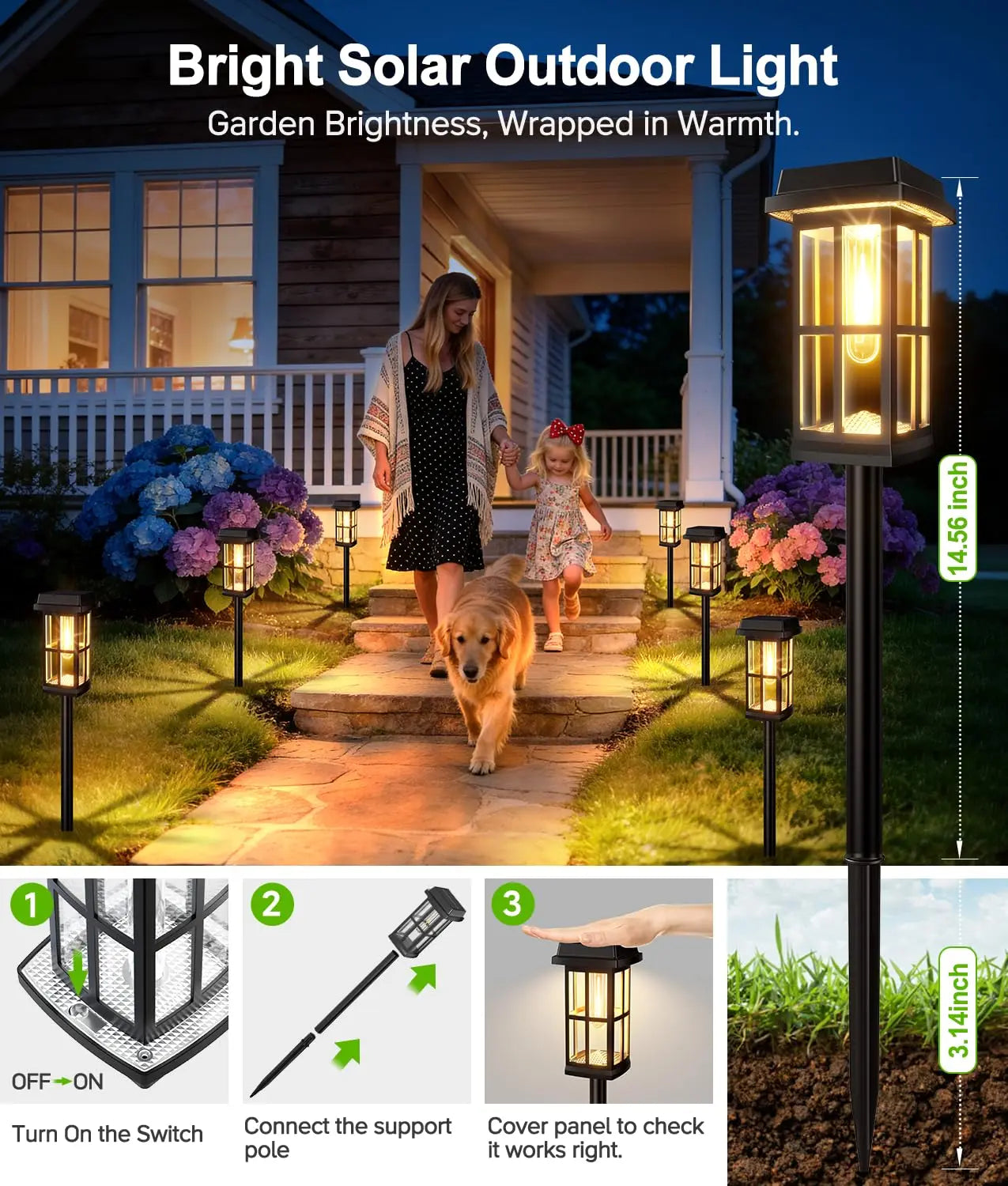 Solar Powered Pathway Lights