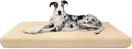 Orthopedic Rectangle Dog Bed
