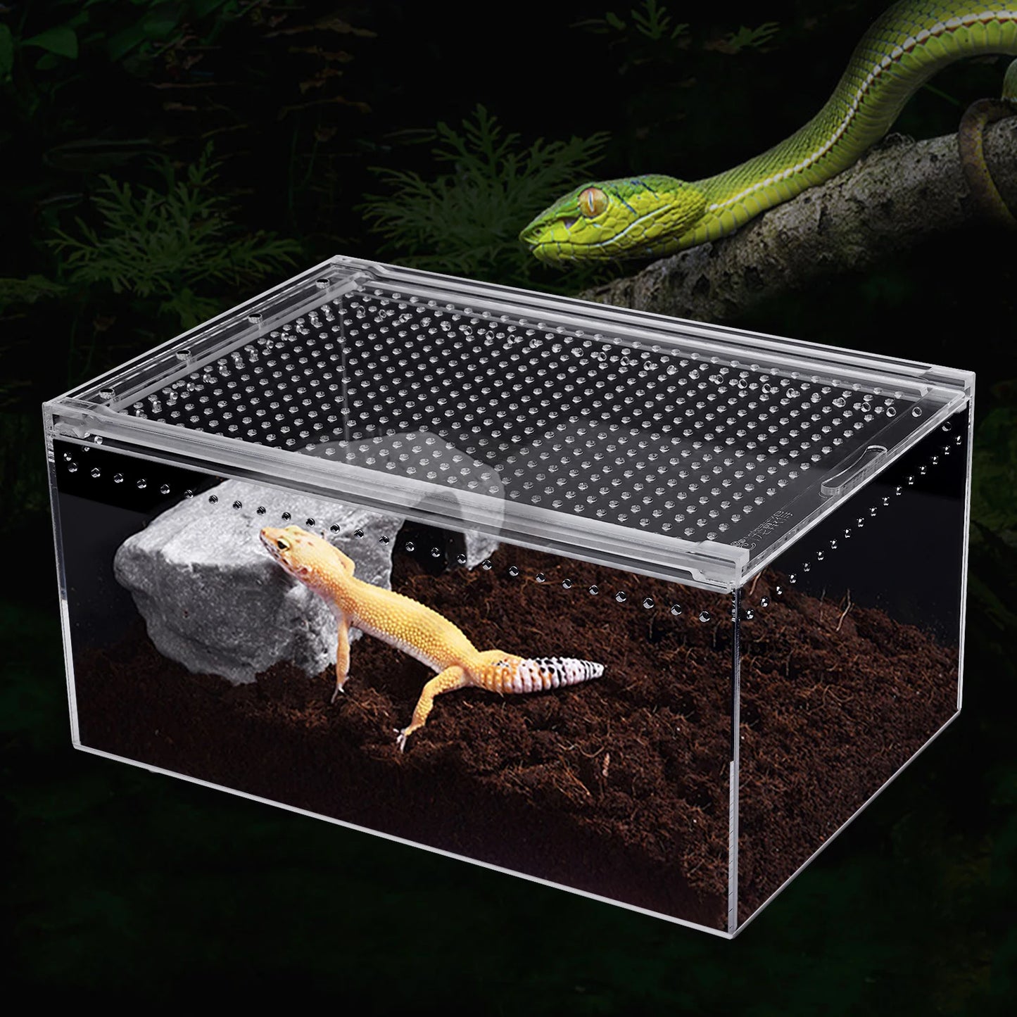 Reptile Pet Breeding Cage 30*20*15cm