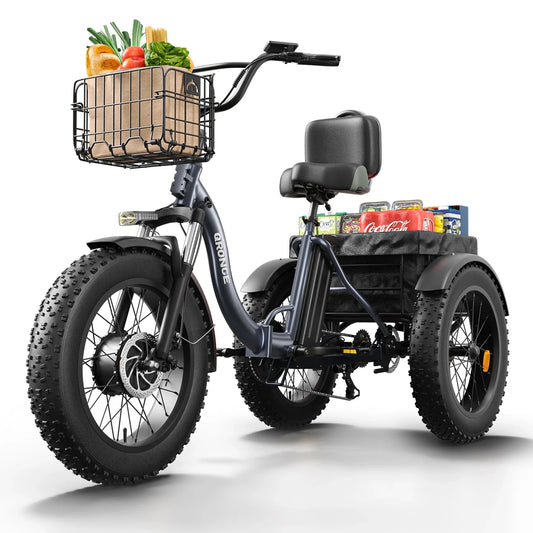 Electric Tricycle for Adults