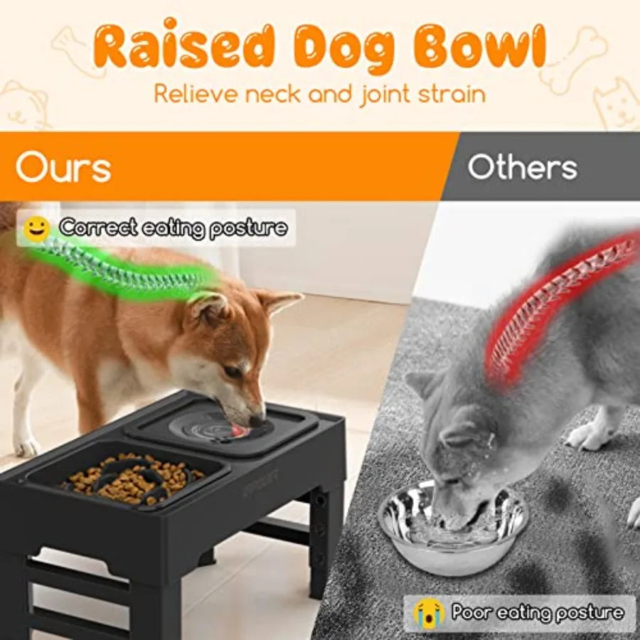 4 Height-Adjustable Dog Bowls