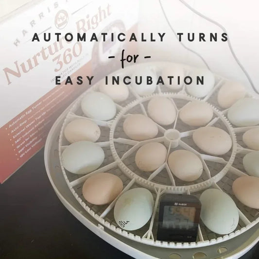 Egg Incubator - Holds 22 Eggs - Automatic Egg Turner