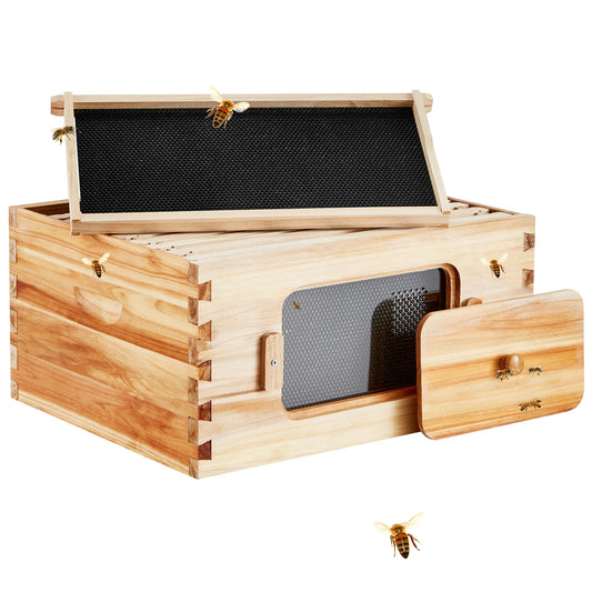 Starter Bee Hive