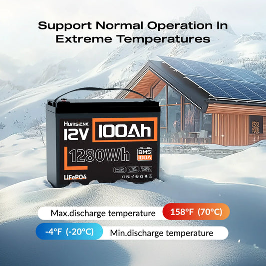 LiFePO4 Lithium Battery 12V 100AH BMS 100A